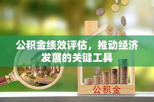 亭湖公积金绩效评估，推动经济发展的关键工具