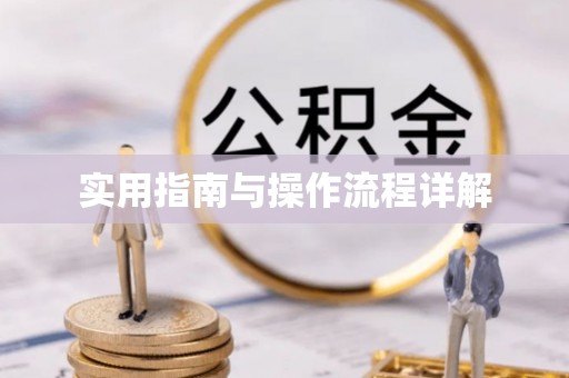亭湖实用指南与操作流程详解