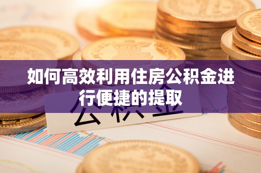亭湖如何高效利用住房公积金进行便捷的提取